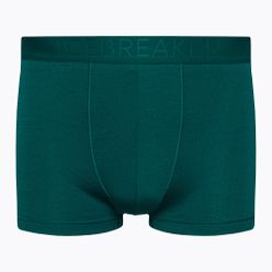 Boxeri termici pentru bărbați Anatomica Cool-Lite verde 105223