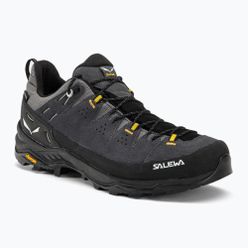Cizme de trekking pentru bărbați Salewa Alp Trainer 2 GTX gri 00-0000061400