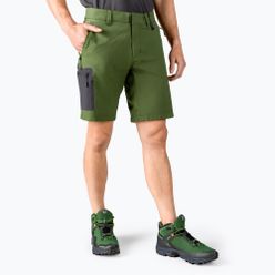 Pantaloni scurți de drumeție pentru bărbați Jack Wolfskin Active Track verde 1503791_4129_054