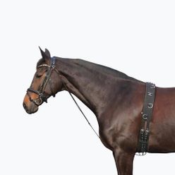 York horse chambon negru 180202