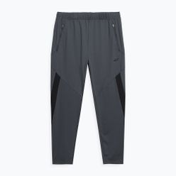 Pantaloni de antrenament pentru bărbați 4F gri 4FSS23TFTRM294-23S
