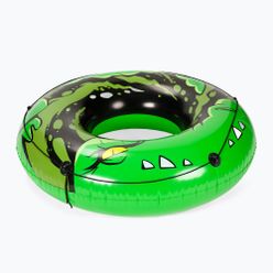 Roată de înot AQUASTIC verde ASR-119G