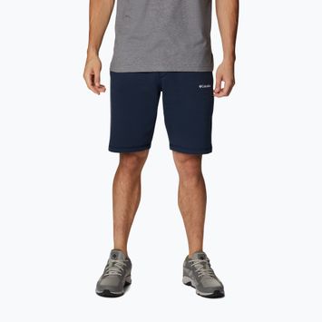 Pantaloni scurți de trekking pentru bărbați Columbia Logo Fleece bleumarin 1884601464