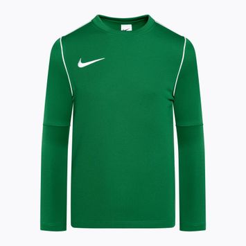 Bluză de fotbal pentru copii Nike Dri-FIT Park 20 Crew pine green/white/white