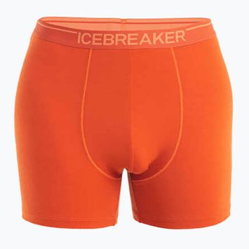 Boxeri termoactivi pentru bărbați icebreaker Anatomica molten