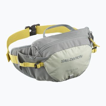 Borsetă Salomon Trailblazer 4 l sedona sage/seagrass/cress green