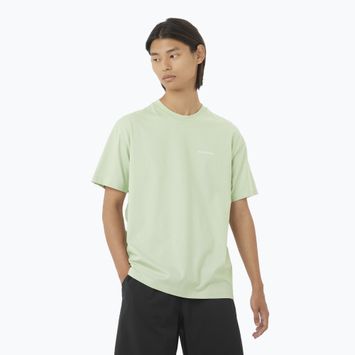 Tricou pentru bărbați  Salomon Logo RX Tee sea foam