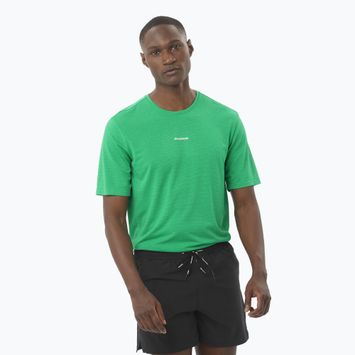 Tricou de alergare pentru bărbați Salomon SHAKEout Core parakeet