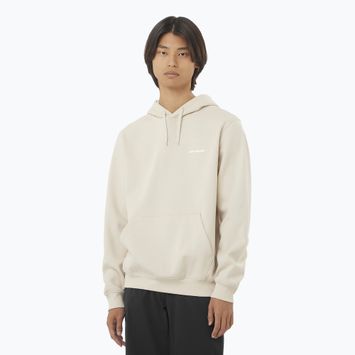 Hanorac pentru bărbați Salomon Logo Hoodie rainy day