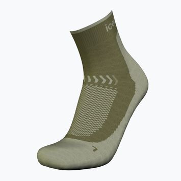 Șosete de trekking pentru bărbați Icebreaker Merino Hike+ Light Mini loden/lichen