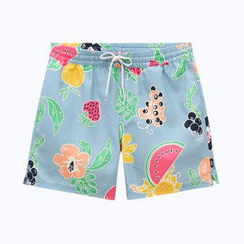 Pantaloni scurți pentru bărbați Vans Primary Print Elastic Boardshort