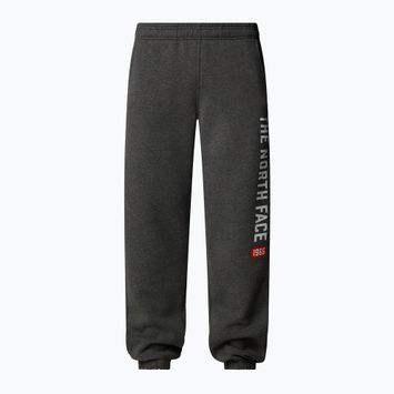 Pantaloni pentru bărbați The North Face Varsity Graphic medium grey heather