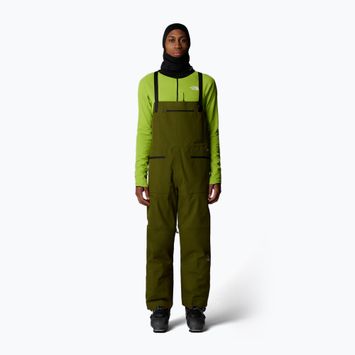 Pantaloni de schi pentru bărbați The North Face Verbier GTX Bib forest olive