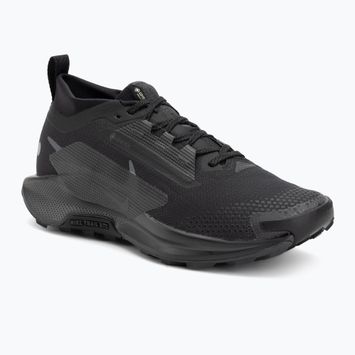 Încălțăminte de alergare pentru bărbați Nike Pegasus Trail 5 GORE-TEX black/anthracite/black