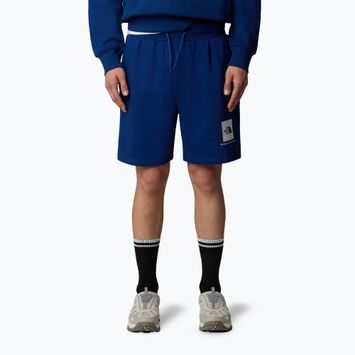 Pantaloni scurți de trekking pentru bărbați The North Face Box Nse Regular estate blue/tnf white