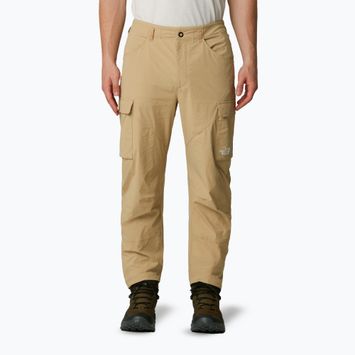 Pantaloni de trekking pentru bărbați The North Face Exploration Cargo khaki stone