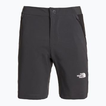Pantaloni scurți de trekking pentru femei The North Face Felik Slim Tapered asphalt grey/tnf black