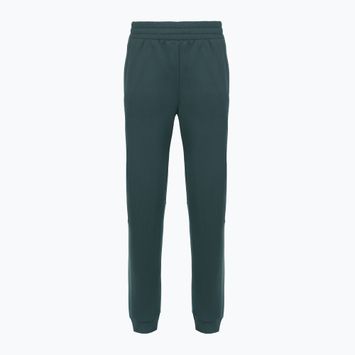 Pantaloni pentru femei The North Face Mountain Athletics Fleece deep cypress/space