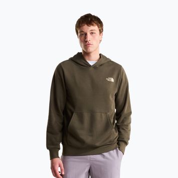Bluză pentru bărbați The North Face Monte Regular Hoodie Graphic new taupe green