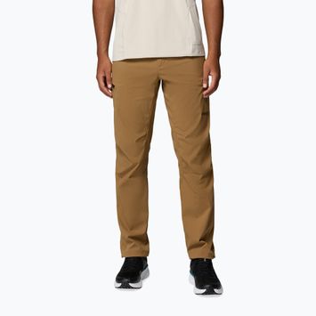 Pantaloni de trekking pentru bărbați Columbia Cosmiques Pro Nylon delta