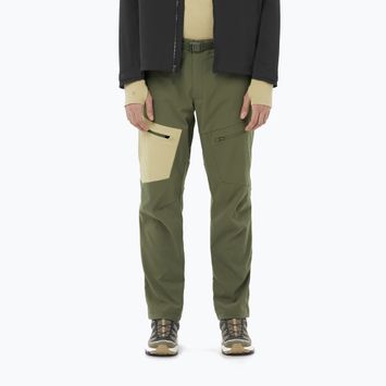 Pantaloni de trekking pentru bărbați Salomon Outerpath Utility grape leaf