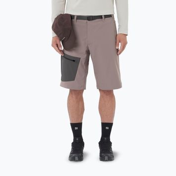 Pantaloni scurți de trekking pentru bărbați Salomon Outerpath Utility iron