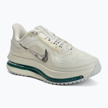 Încălțăminte de alergare pentru femei Nike Pegasus Premium sea glass/malachite/metallic silver