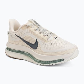 Încălțăminte de alergare pentru bărbați Nike Pegasus Premium Pale ivory/jade horizon/black spruce