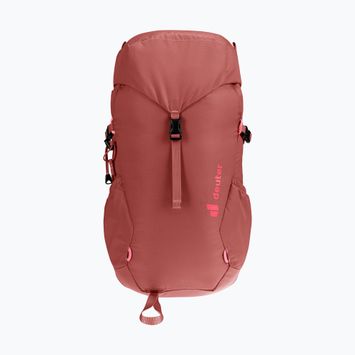 Rucsac de drumeție pentru copii Deuter Climber 22 l sequoia/hibiscus pentru copii