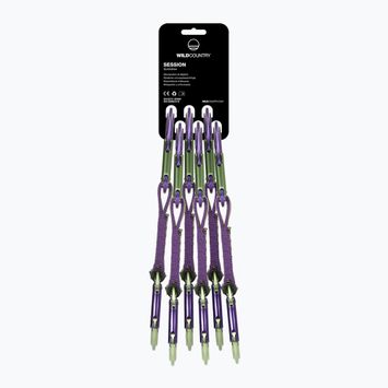 Set de expresuri de cățărare Wild Country Session Quickdraw 6x12 cm purple/green