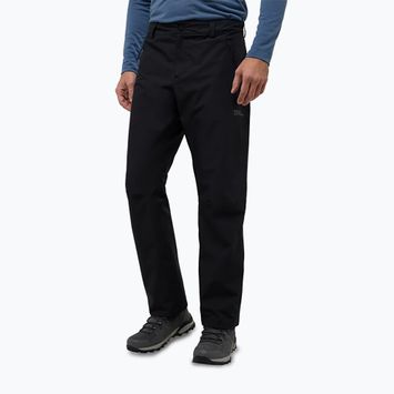 Pantaloni de drumeție pentru bărbați Jack Wolfskin Parana black