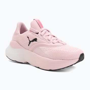 Încălțăminte de alergare pentru femei PUMA Softride Mayve rose mauve/puma black/sun struck