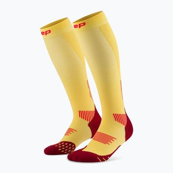 Șosete compresive pentru bărbați CEP Run Tall 5.0 marigold/burgundy
