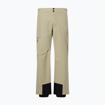 Pantaloni de schi pentru bărbați Descente Light Insulated snow conifer
