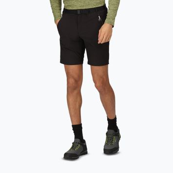 Pantaloni scurți de trekking pentru bărbați Regatta Xert Stretch III black