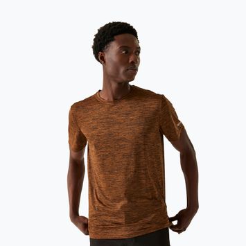 Tricou de trekking pentru bărbați  REGATTA Fingal Edition fox
