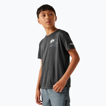 Tricou pentru copii REGATTA Alvarado IX seal grey marl