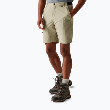 Pantaloni scurți de trekking pentru bărbați REGATTA Travel Light Packaway golden sand