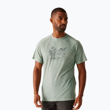 Tricou de trekking pentru bărbați  REGATTA Escade glacier