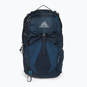 Rucsac turistic pentru bărbați Gregory Citro 24 l albastru 141308