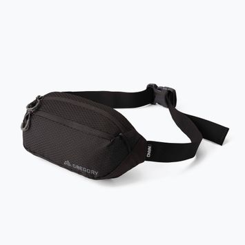 Borsetă Gregory Nano Mini 3 l optic black