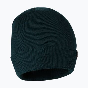 Căciulă de iarnă pentru bărbați Pitbull West Coast Beanie Small Logo dark green