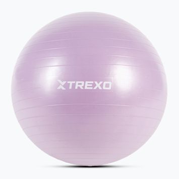 Minge de gimnastică XTREXO TXO-B4Z008-VT 65 cm violet