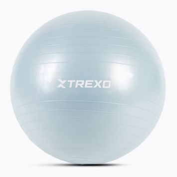 Minge de gimnastică XTREXO TXO-B4Z008-BL 65 cm albastru