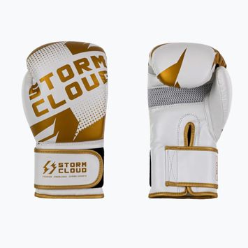 Mănuși de box StormCloud Bolt 3.0 white/gold