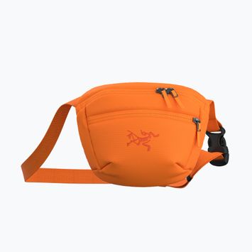 Borsetă Arc'teryx Mantis 1 1,5 l verve