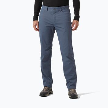 Pantaloni de trekking pentru bărbați Helly Hansen Holmen 5 Pocket alpine frost