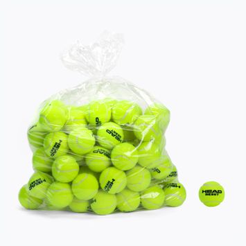 HEAD Reset Polybag mingi de tenis 72 buc. verde 575030