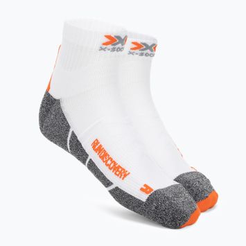 Șosete de alergare pentru bărbați X-Socks Run Discovery 4.0 alb arctic/grișor dolomit