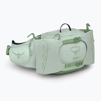 Borsetă Osprey Tempest 6 l frosty mint/ green botanica